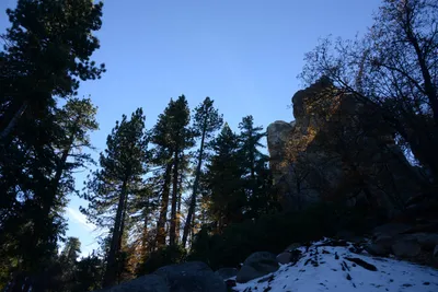 DSC_5215 (Large).JPG